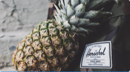 吸引人才落户，苏州各地区出台租房补贴政策